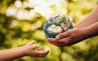 Focus: L’AGRICOLTURA CONSERVATIVA