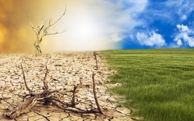 CAMBIAMENTI CLIMATICI E AGRICOLTURA