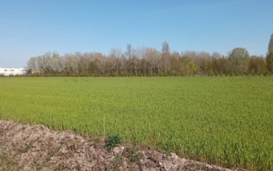SOIL BANK