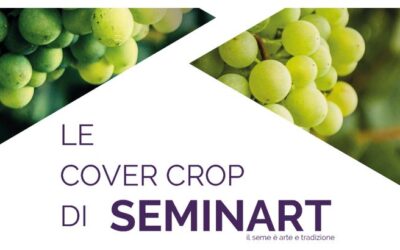 LE COVER CROP DI SEMINART