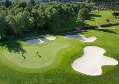CREEPING BENTGRASS