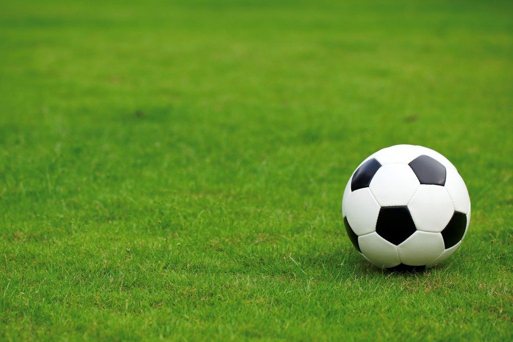miscugli-semi-tappeto-campo-da-calcio