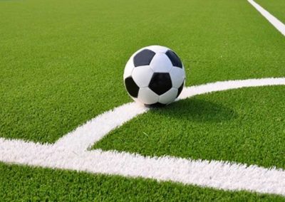 MUNDIAL N. 220 – FOR FOOTBALL PITCHES