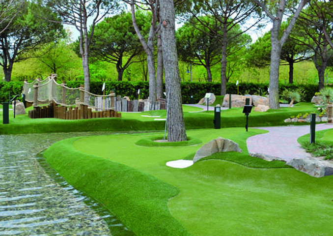 paspalum