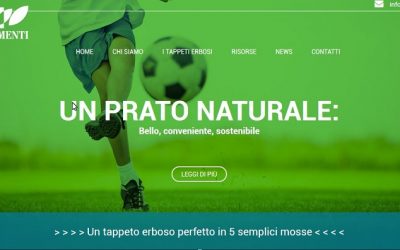 Un prato naturale: bello, conveniente e sostenibile