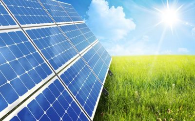 AMBIENTE: IL NOSTRO IMPEGNO PER L’AMBIENTE