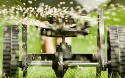 “Concimazioni di fine autunno: cosa sapere”