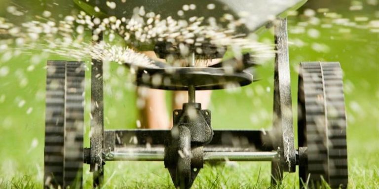 “Concimazioni di fine autunno: cosa sapere”