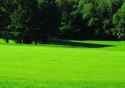 BERMUDA GRASS