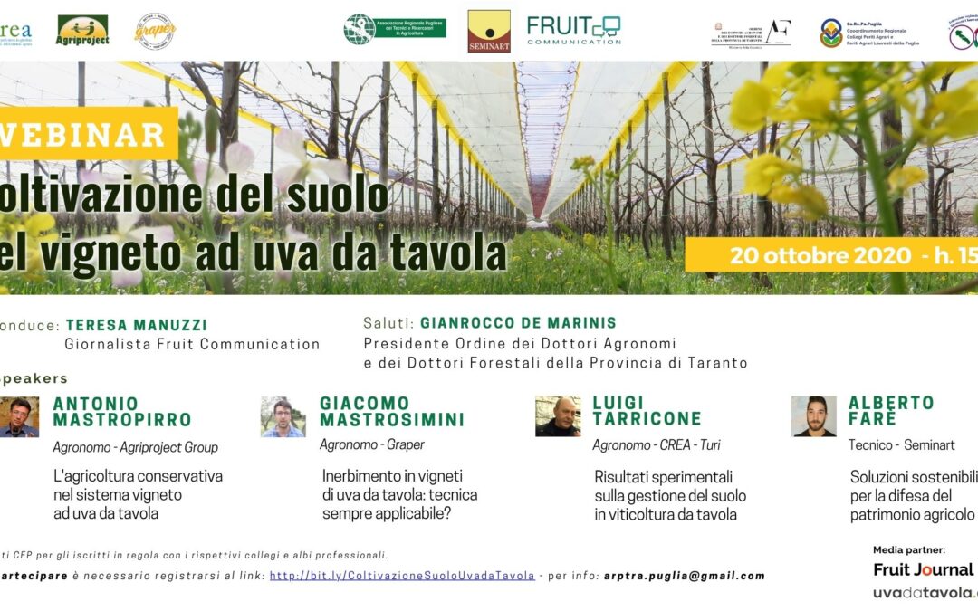 Inerbimento in vigneto ad uva da tavola: un webinar
