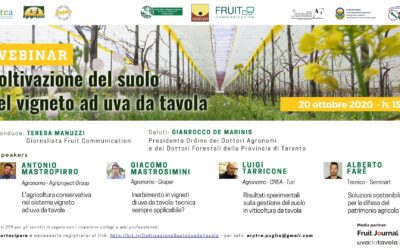 Inerbimento in vigneto ad uva da tavola: un webinar